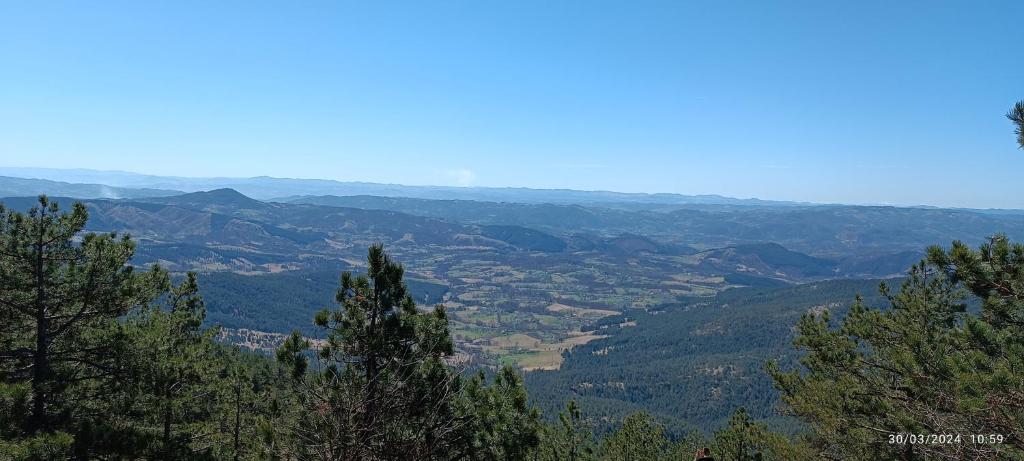 Un paisaje natural cerca del departamento