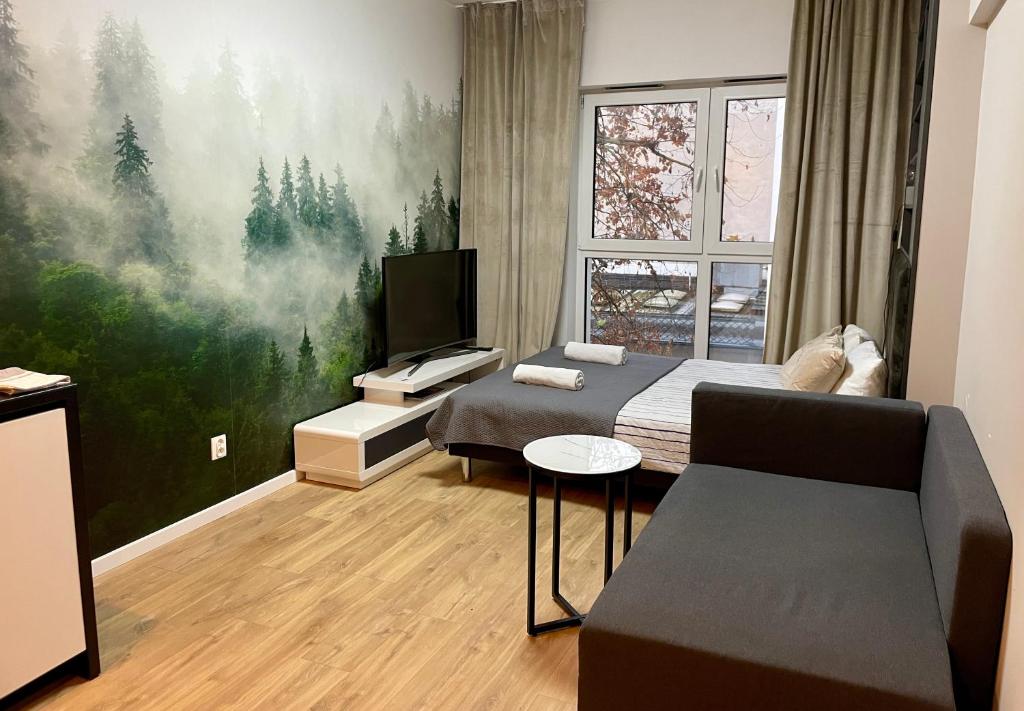 Un dormitorio con una cama, un sofá y un televisor. en Plac Wolności 6 airconditioning, en Poznan