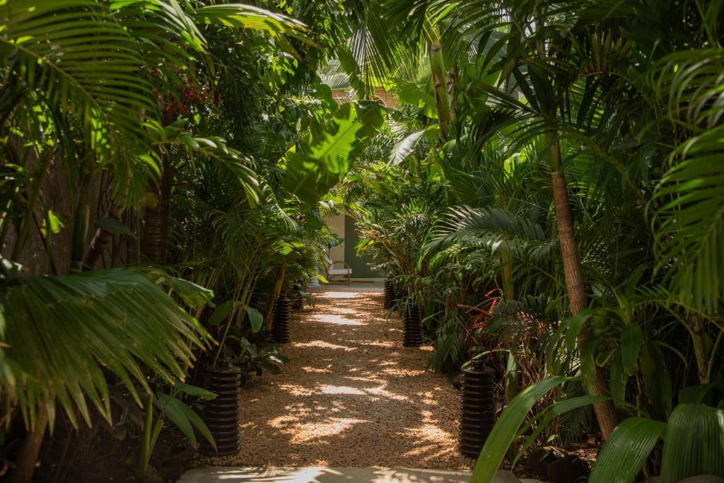 Zahrada ubytování Maison Tropical