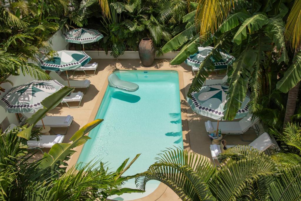 Bazén v ubytování Maison Tropical nebo v jeho okolí