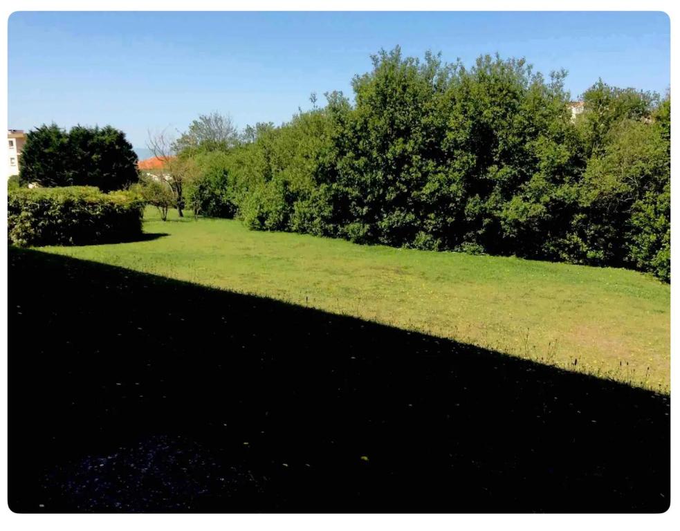 un champ d'herbe planté d'arbres en arrière-plan dans l'établissement centre et plage F1 calme vue parc parking gratuit, à Biarritz