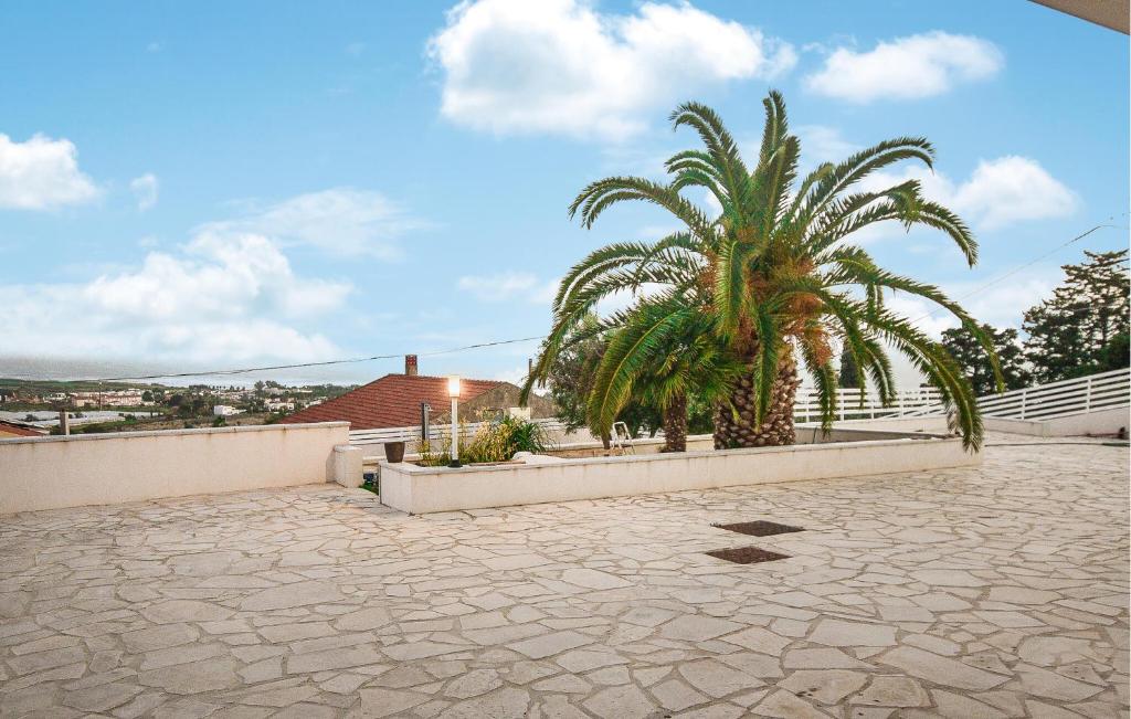 eine Palme auf einem Haus in der Unterkunft Gorgeous Home In Marina Di Ragusa in Marina di Ragusa