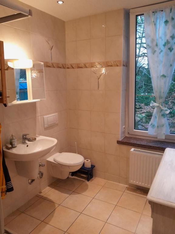 Koupelna v ubytování Ferienwohnung Springstein