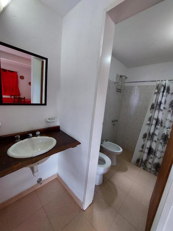 a bathroom with a sink and a toilet and a shower at Un lugar en el Mundo in Villa Amancay