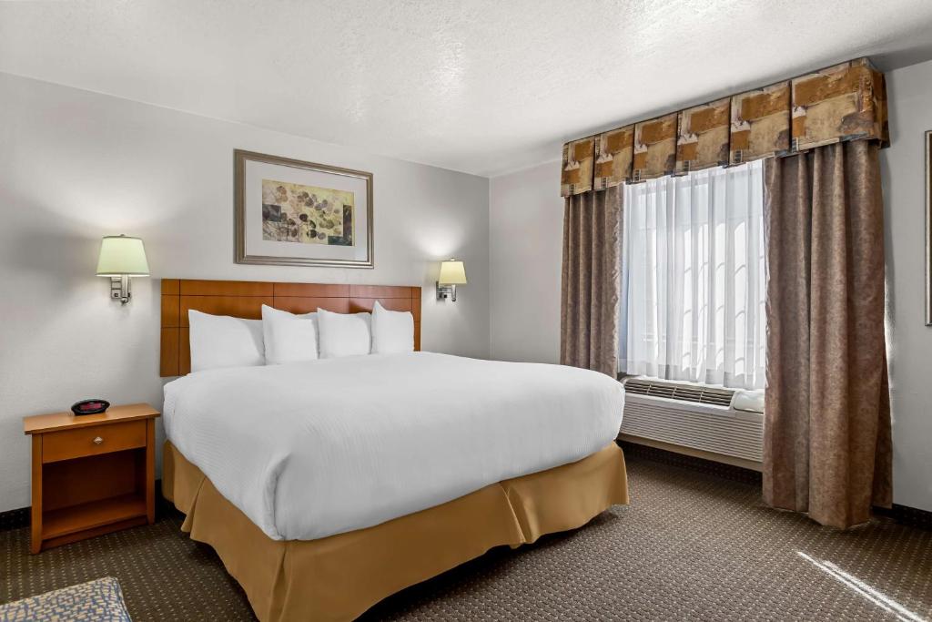 Best Western Socorro Hotel & Suites - King Family Suite Con Divano Letto - Non Fumatori
