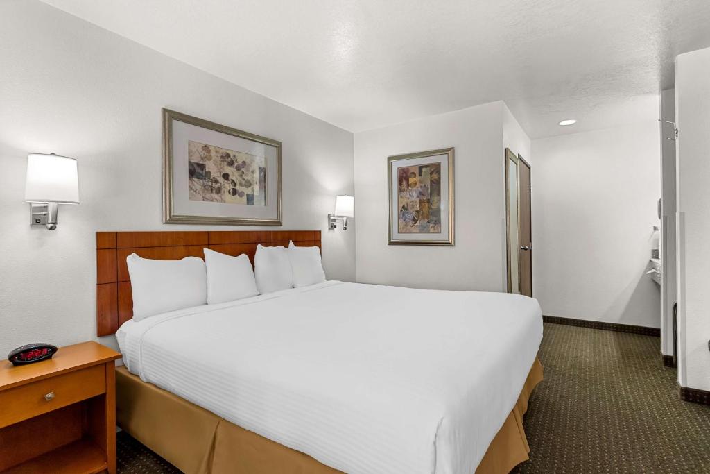 Best Western Socorro Hotel & Suites - King Suite Con Divano Letto - Non Fumatori