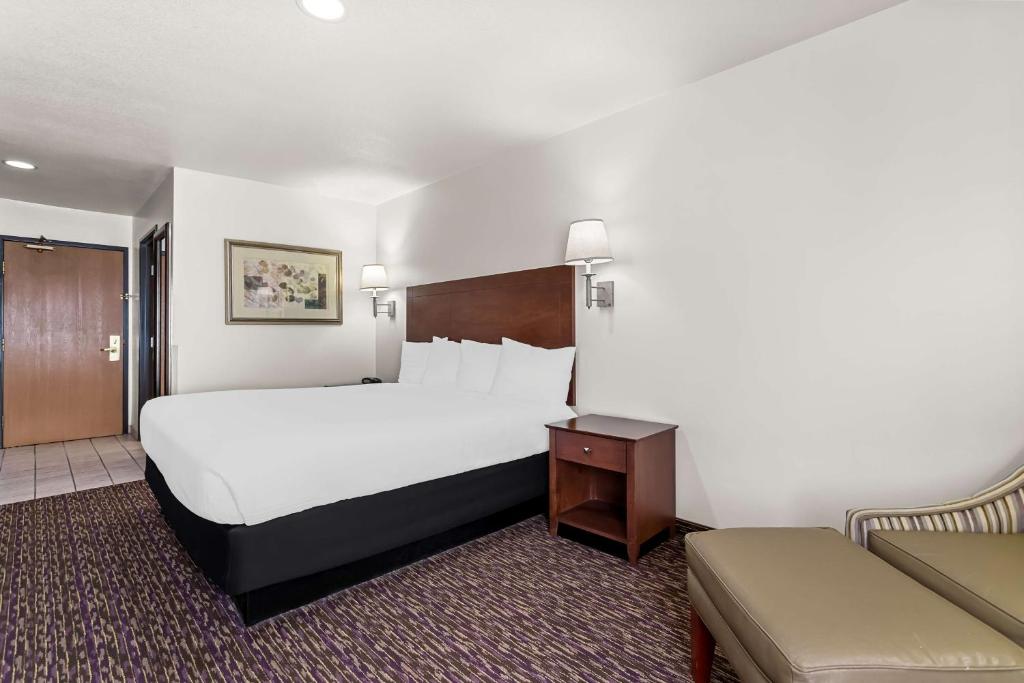 Best Western Socorro Hotel & Suites - Standard King Room - Non Fumatori