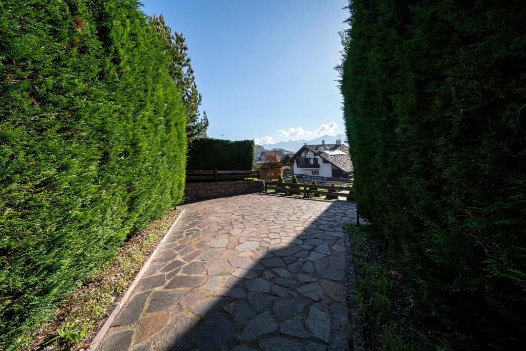 Zahrada ubytování Casa Gialla