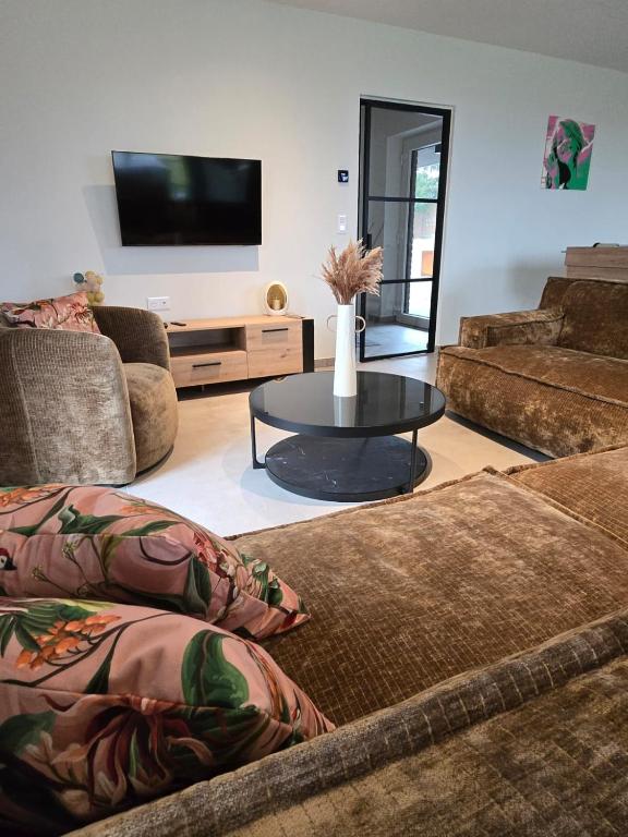 a living room with two couches and a tv at La maison d'Inès in Nassogne