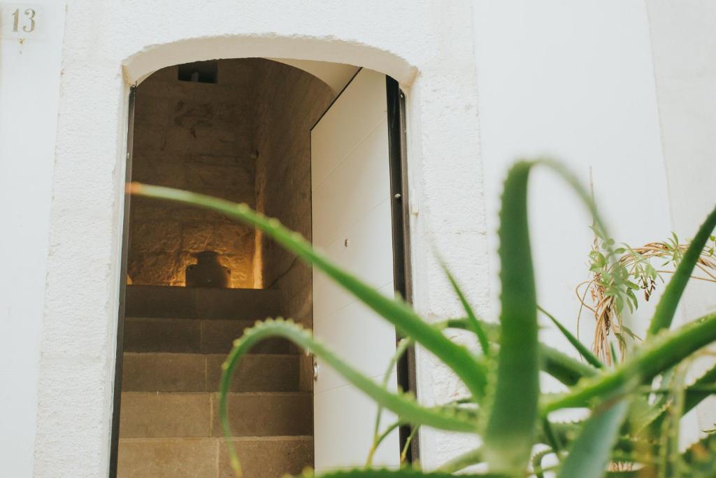 VICOLO TENENTE ERCOLE GHIONDA - Appartement De Luxe
