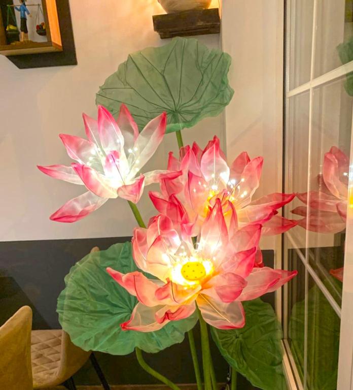 Hotel Wesselényi - Resim 9