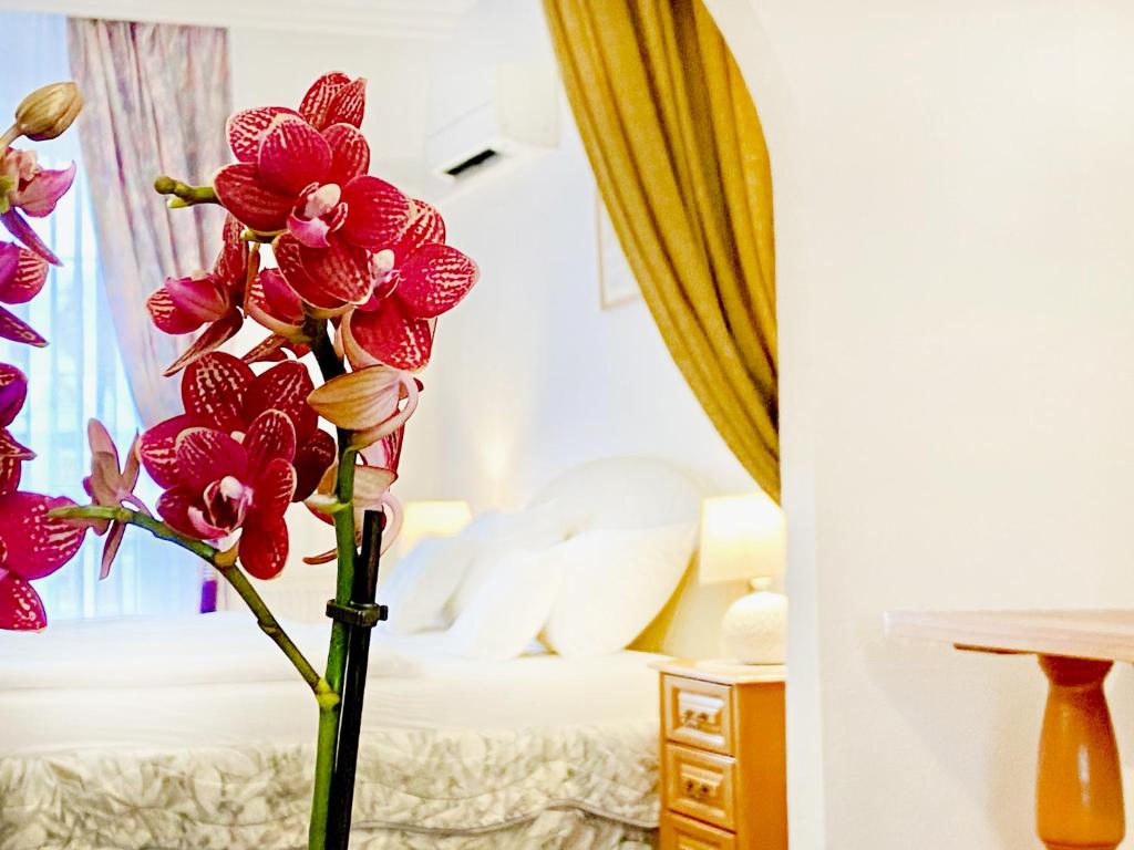 Hotel Wesselényi - Resim 2