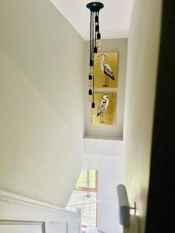 Blackwell House - One-Bedroom Apartment