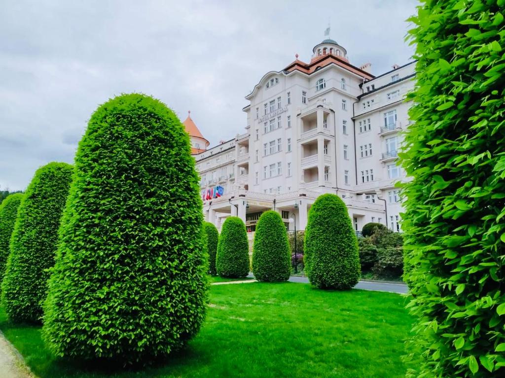 Сад в ArtFlora KV Premium