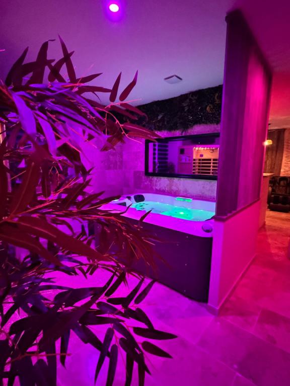 Bazén v ubytování Le boudoir suite&spa nebo v jeho okolí