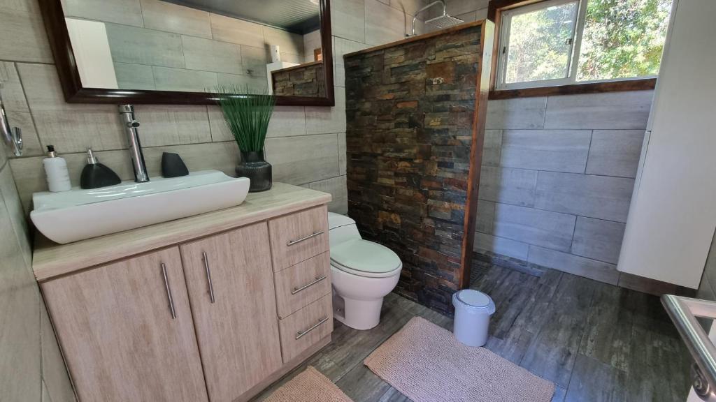 a bathroom with a sink and a toilet at Casa campo in Puerto Varas