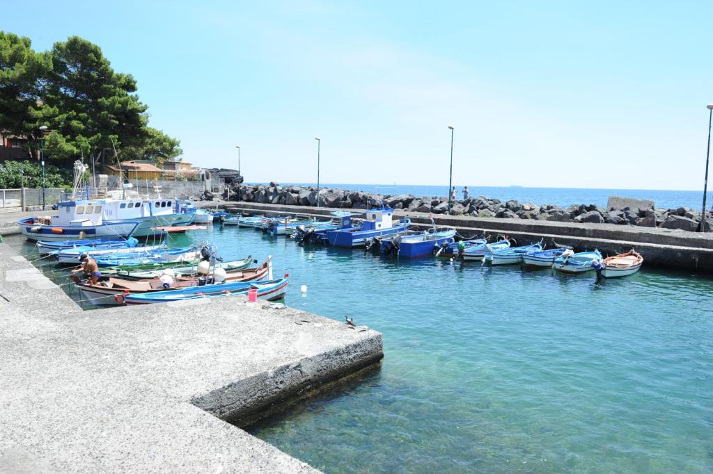 a group of boats are docked in a harbor at B&B I Licutiani in Catania