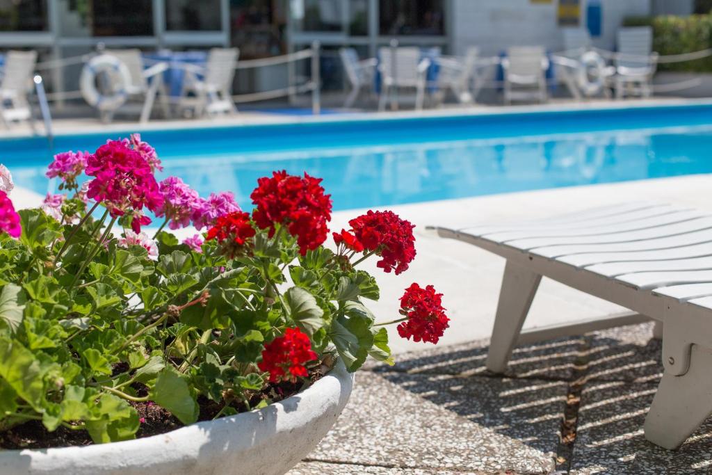 Basen w obiekcie Hotel Gioiello lub w pobliżu
