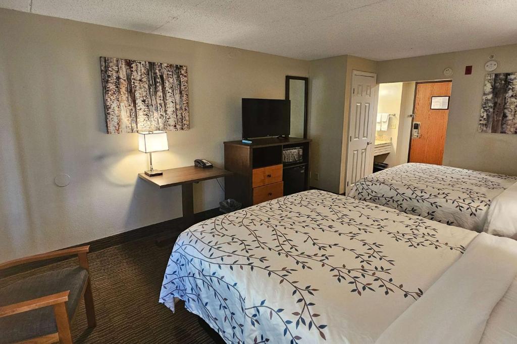 Americinn by Wyndham Birch Run - Frankenmuth photo