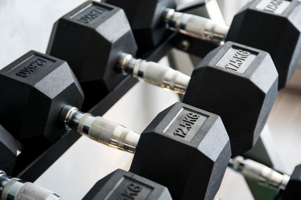 Fitness centrum a/nebo fitness zařízení v ubytování Aauris