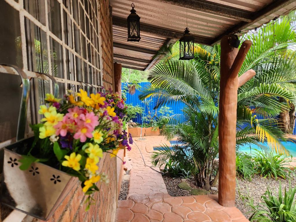 Fotografie z fotogalerie ubytování Escape v destinaci Comayagua