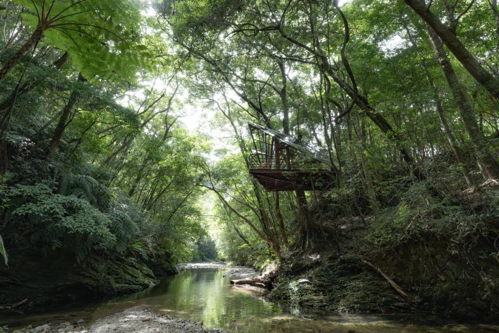 Treeful Treehouse Sustainable Resort Okinawa - Suite Con Due Camere Da Letto