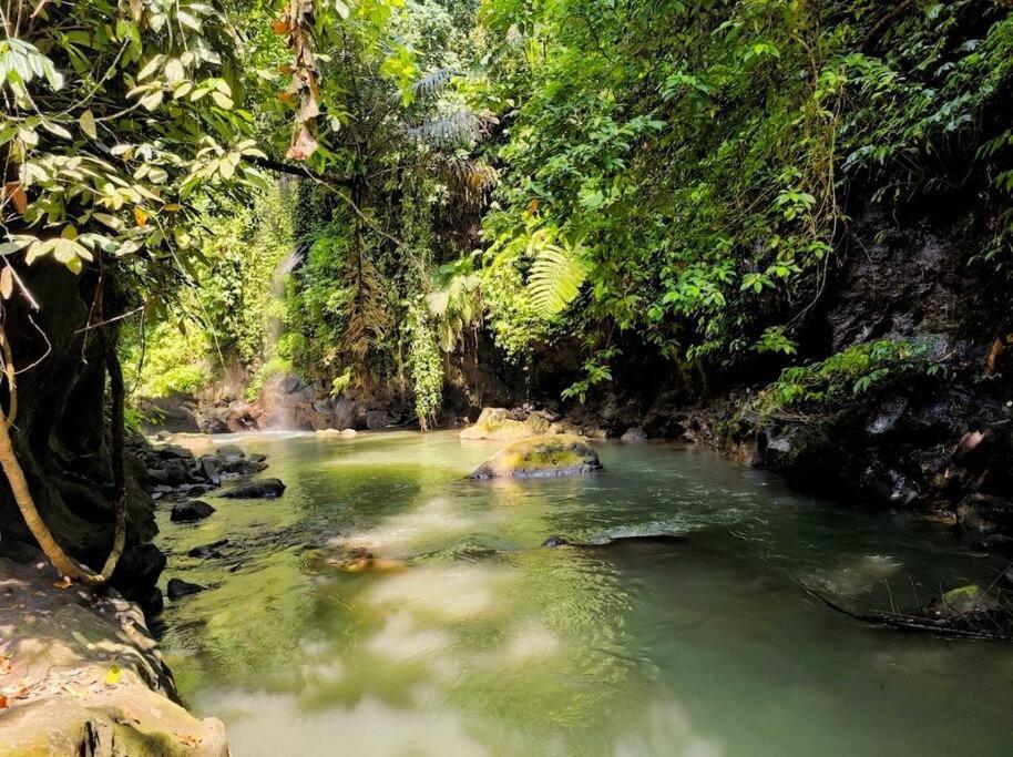Phong cảnh thiên nhiên gần căn hộ