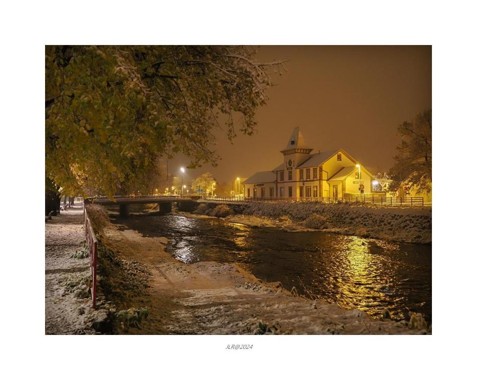 Côté Brand – photo 60