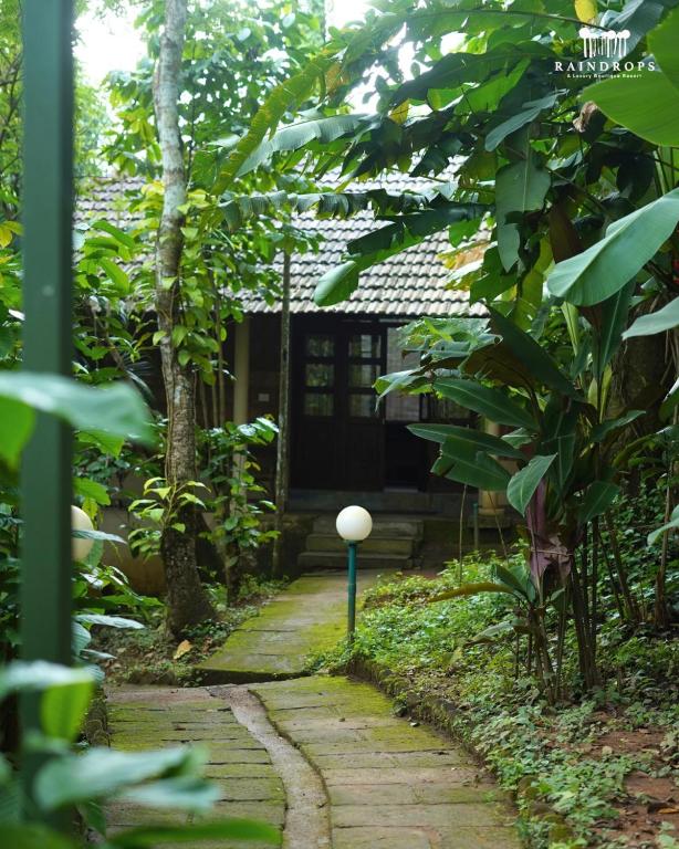 Zahrada ubytování Raindrops Resorts Wayanad
