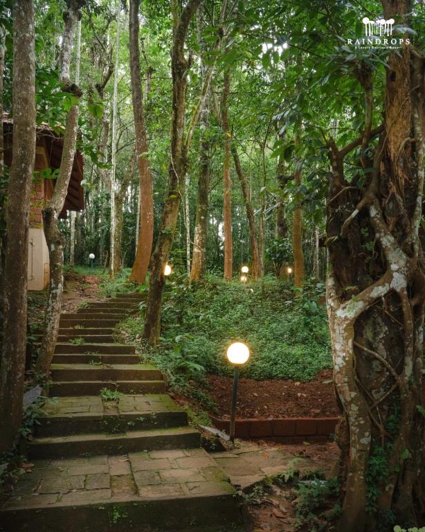 Zahrada ubytování Raindrops Resorts Wayanad
