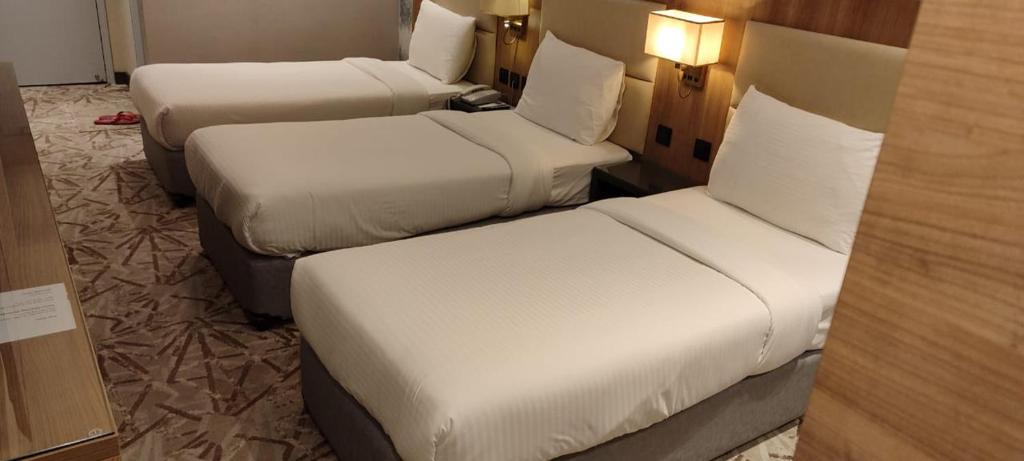 SKY PARK HOTEL - Resim 34