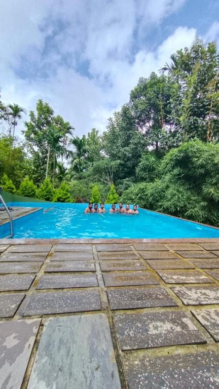 Bazén v ubytování Ayurnest Pool Resort Wayanad nebo v jeho okolí