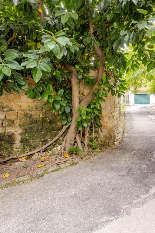Zdjęcie z galerii obiektu CRISPI 74.1 - Apartment w mieście Neapol