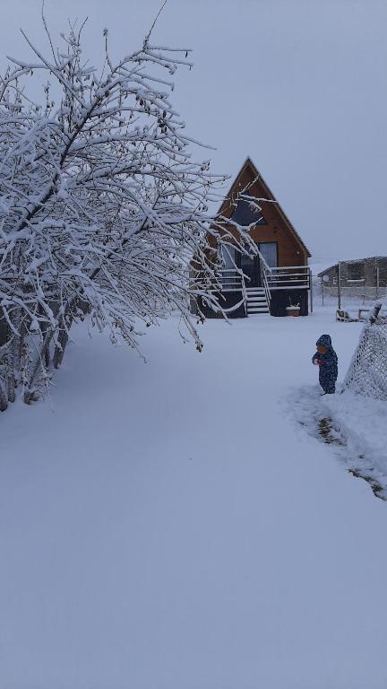 Thomas' Hut v zimě