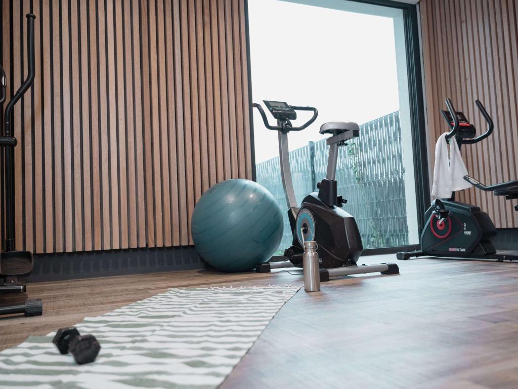 Fitness centrum a/nebo fitness zařízení v ubytování ibis Styles Thonon-les-Bains