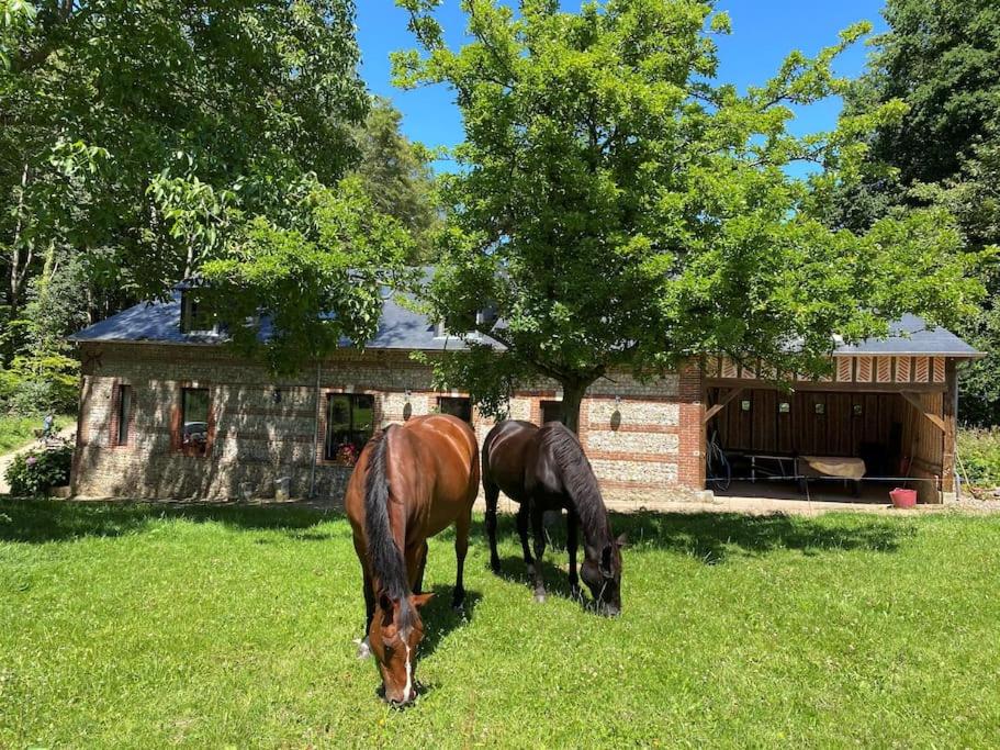 two horses grazing in the grass in front of a barn at Grande et belle maison ancienne restaurée in Écrainville