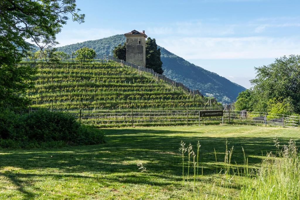 Resort Collina d'Oro - Hotel, Residence & Spa - Resim 18