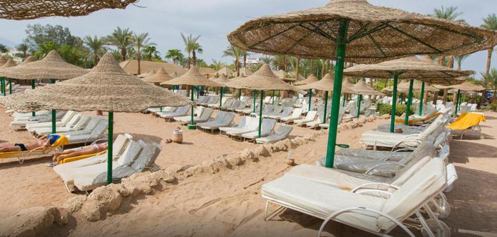 Fotografie z fotogalerie ubytování Oonas Dive Club v destinaci Sharm El Sheikh