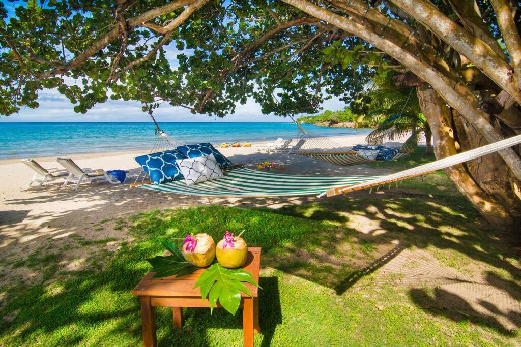 a hammock on the beach with a hammock and the ocean at Villa Fantasy private beach and private pool in Rio Bueno
