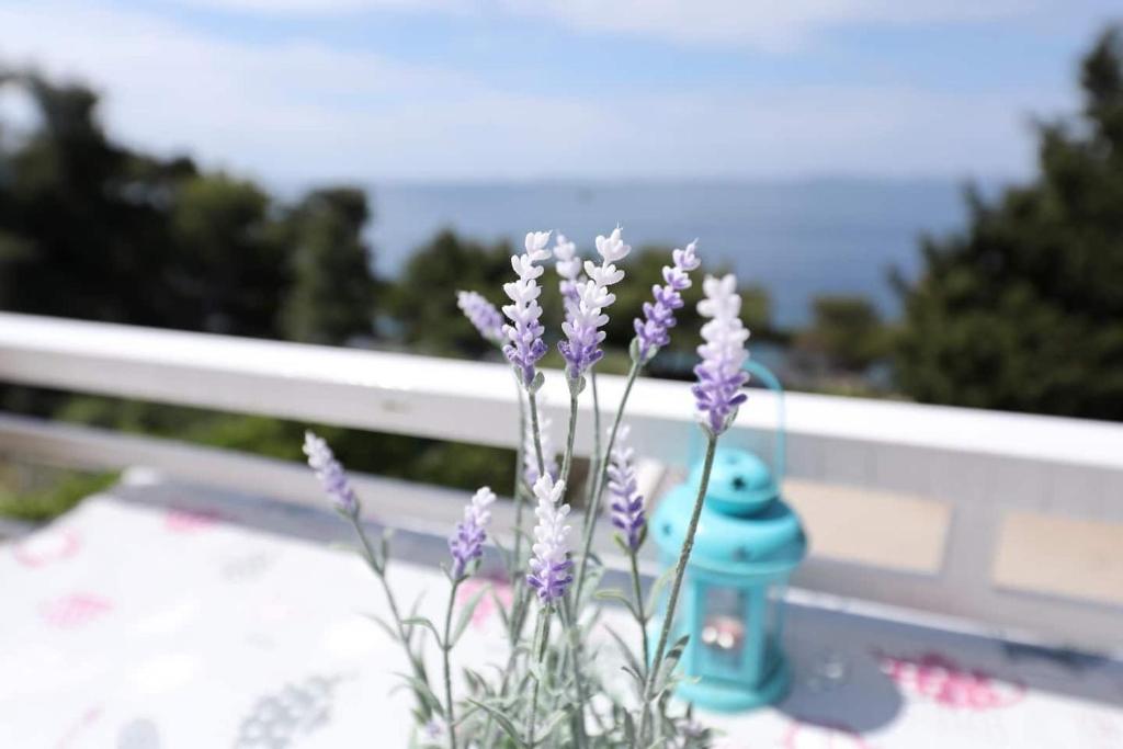 Príroda v okolí apartmánu