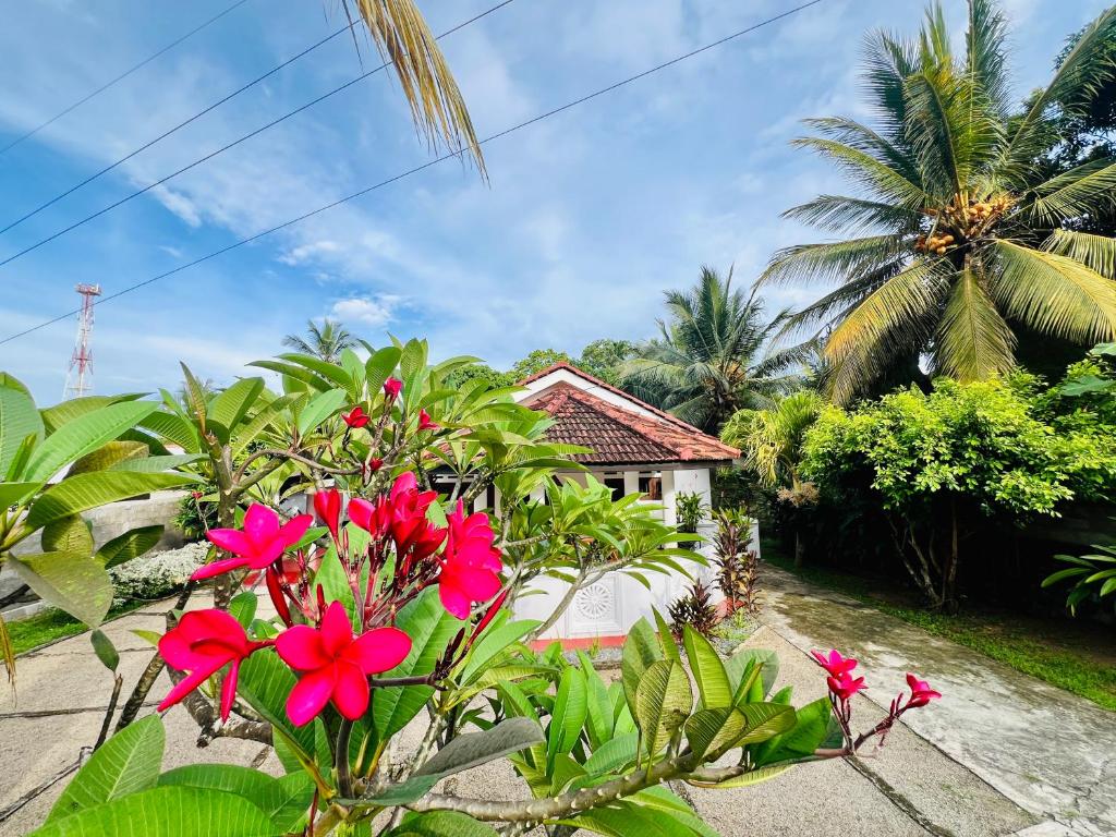 Κήπος έξω από το Treat Villa with AC - Tangalle