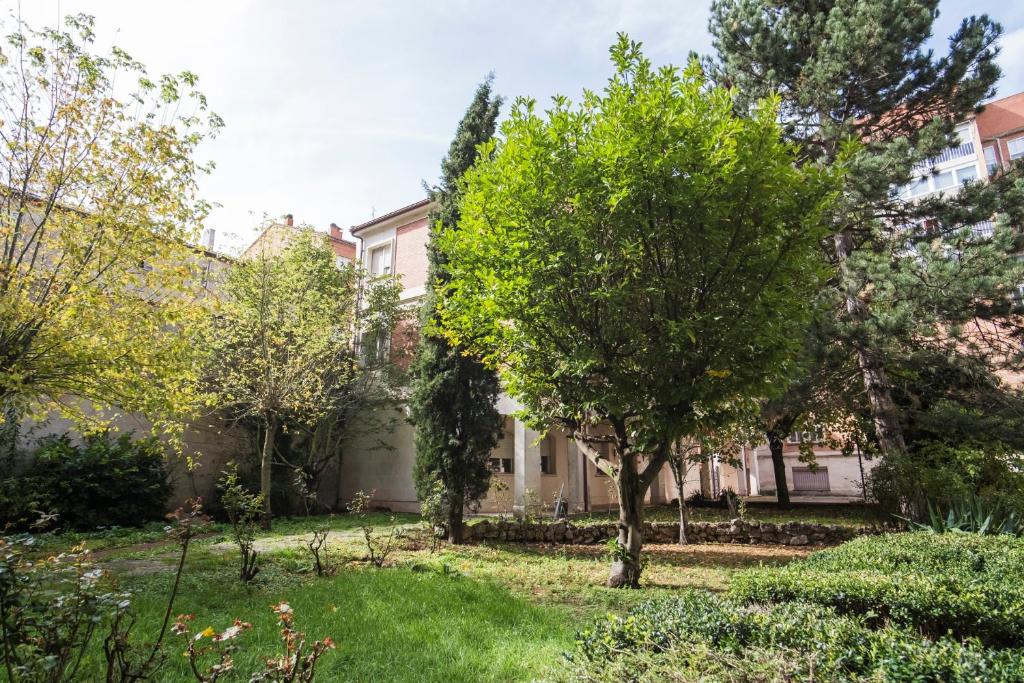 Zahrada ubytování Residencia Zeta Home