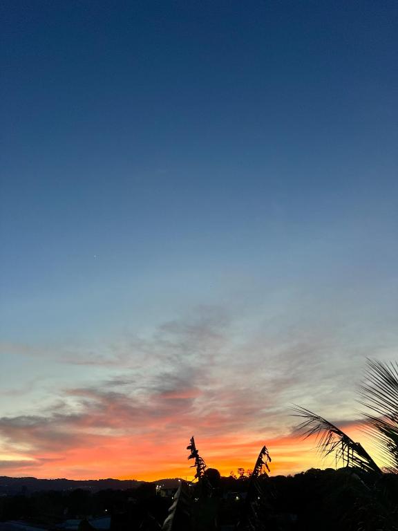 a sunset with a palm tree in the foreground at Senda florida in Ahuachapán