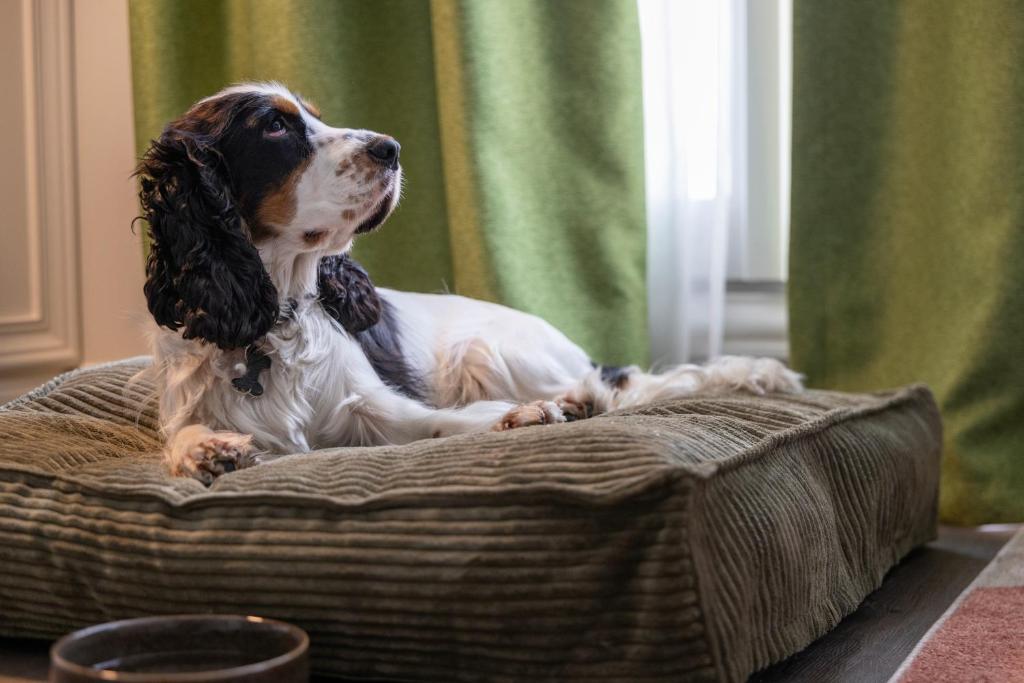 Hôtel L'Ormaie & Spa - Resim 43