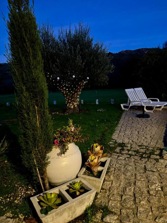 Zahrada ubytování Quinta Vale da Prata