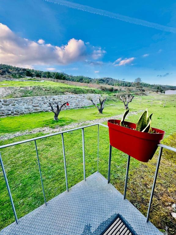 Zahrada ubytování Quinta Vale da Prata