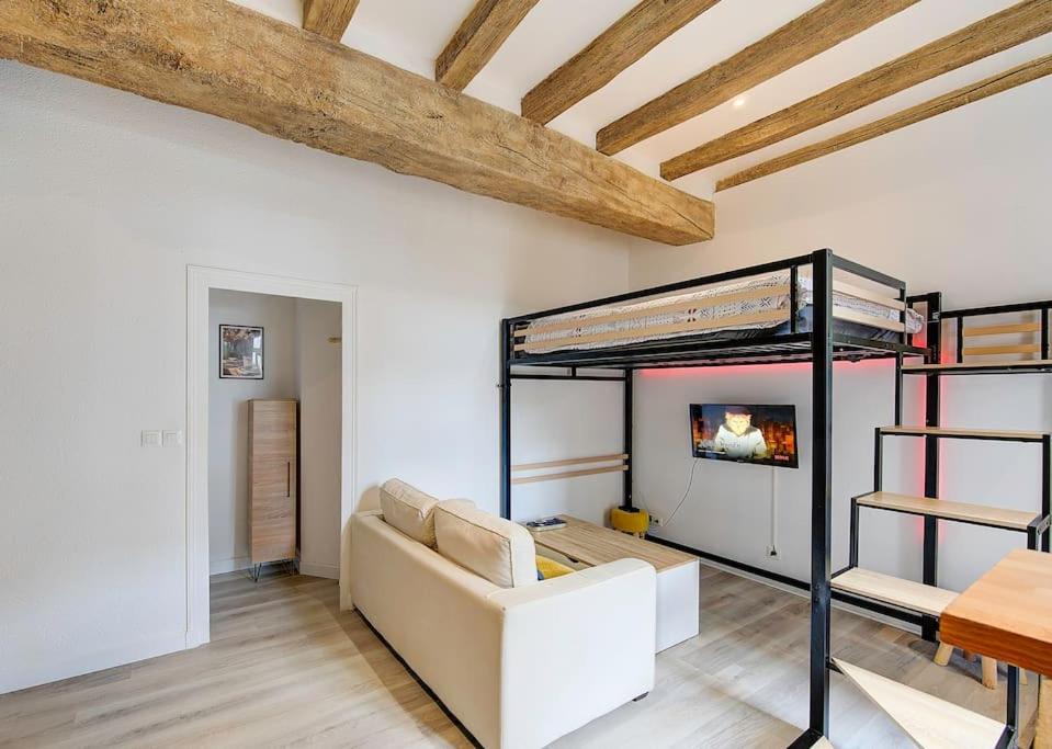 a living room with a couch and a bunk bed at Appartement au Cœur de Tours in Tours