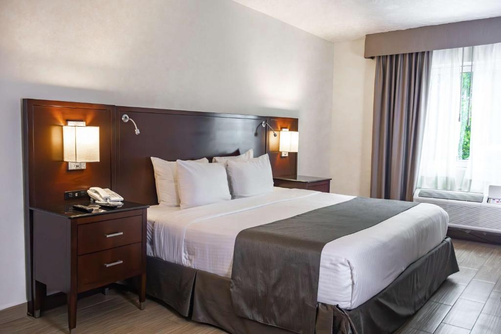 Una cama o camas en una habitación de Best Western PLUS Monterrey Colón