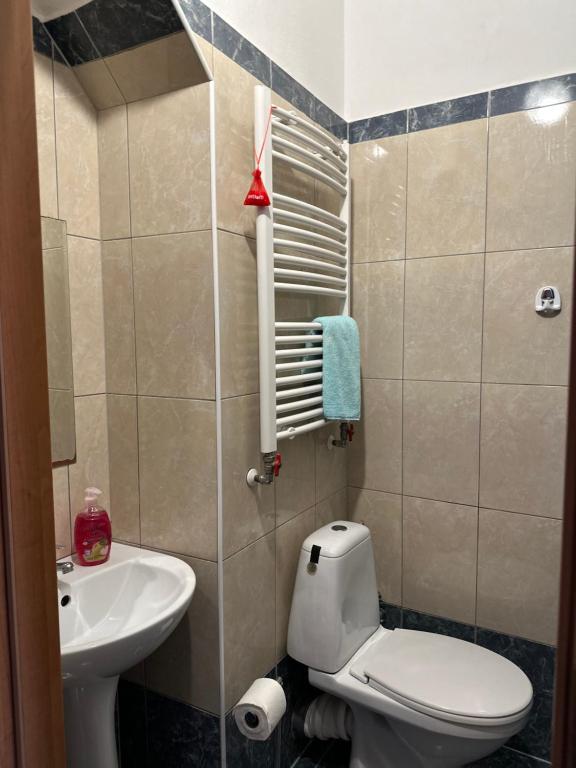 Koupelna v ubytování Hotel Haga