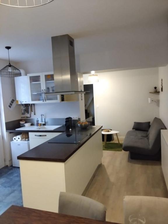 Il comprend une cuisine et un salon avec un comptoir. dans l'établissement Les mouflons, à La Bourboule